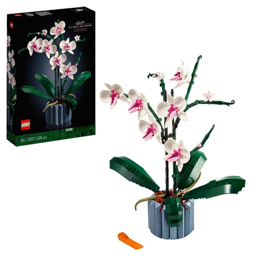 BOTANICALS Orkídea