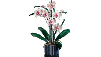 BOTANICALS Orkídea