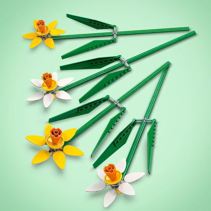 BOTANICALS Páskaliljur