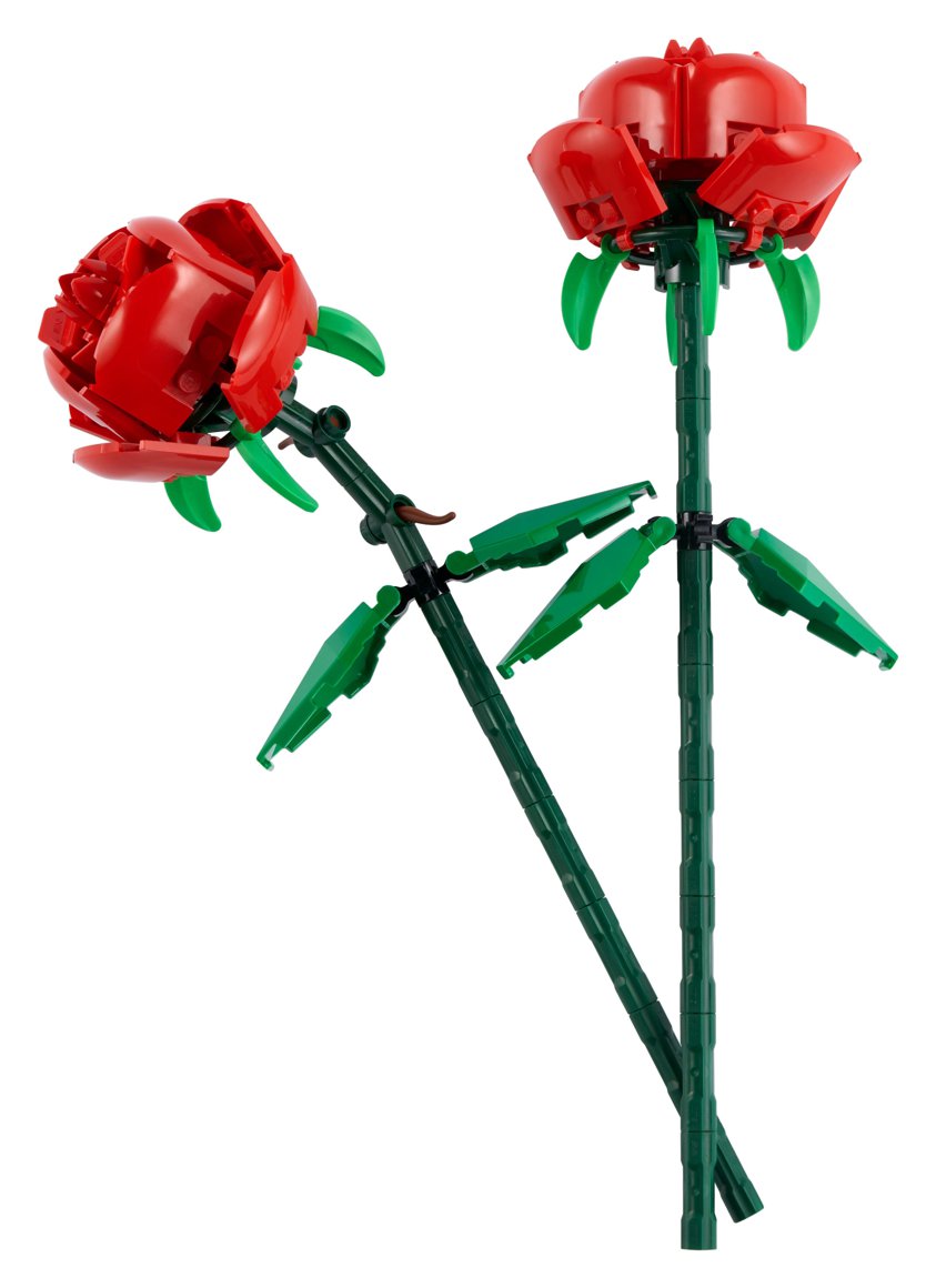BOTANICALS Rósir